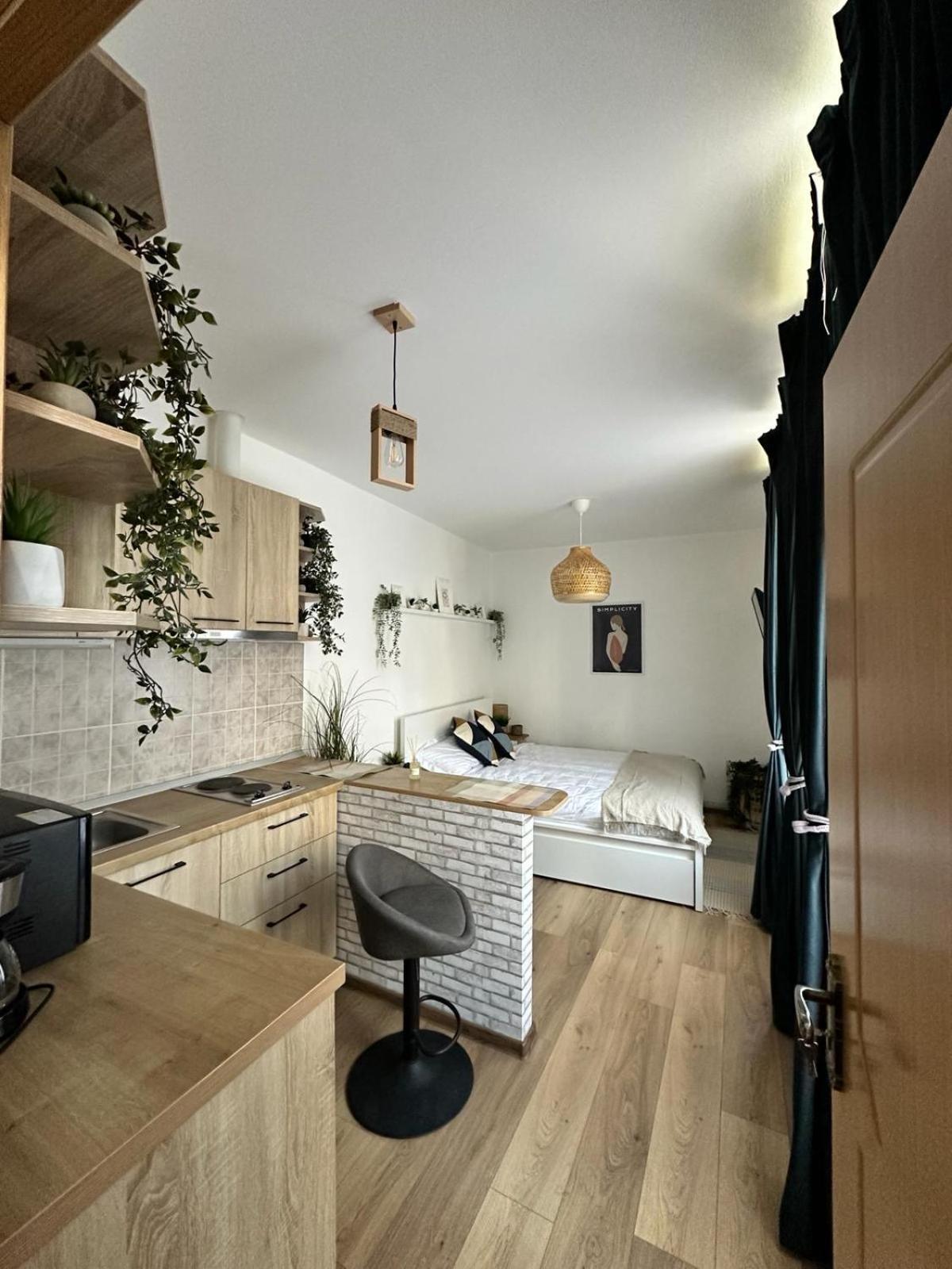 Zen Studio บราชอฟ ภายนอก รูปภาพ